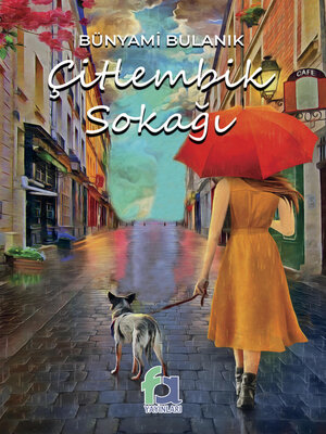 cover image of Citlenbik Sokagi